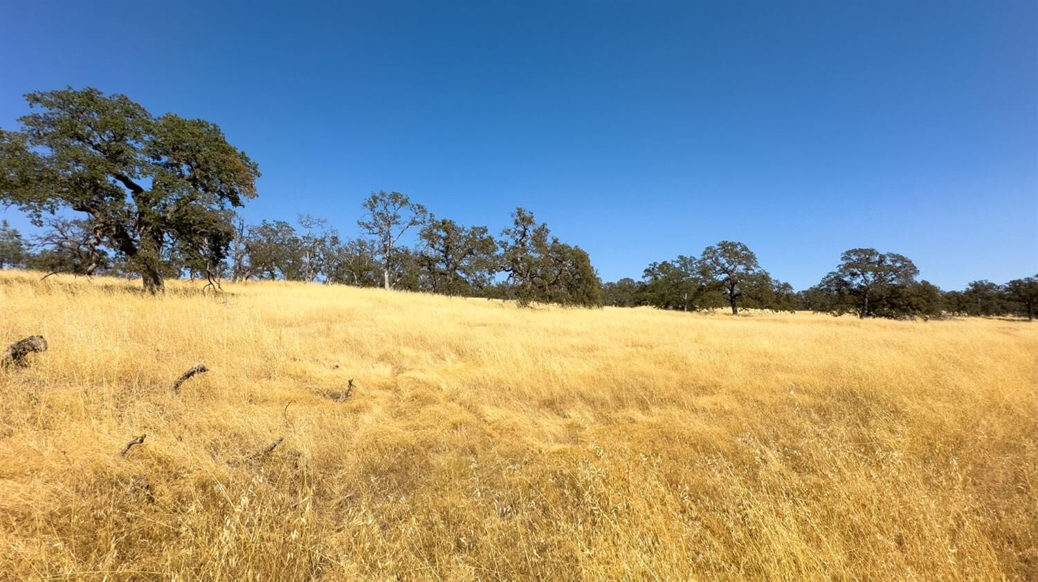 Property Photo: 19227 Matthew Road CA 95692