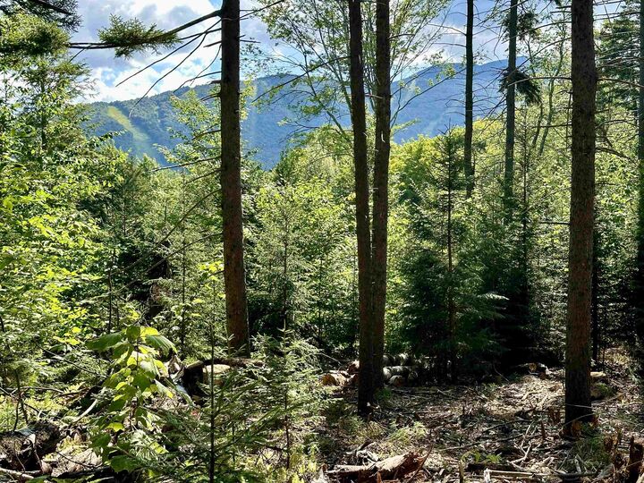 Property Photo: 00 Knolls Road VT 05674