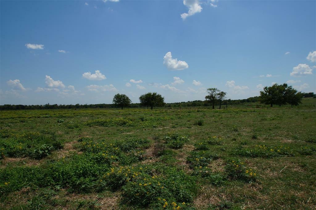 Property Photo:  0000 County Road 262 Road  TX 75114 