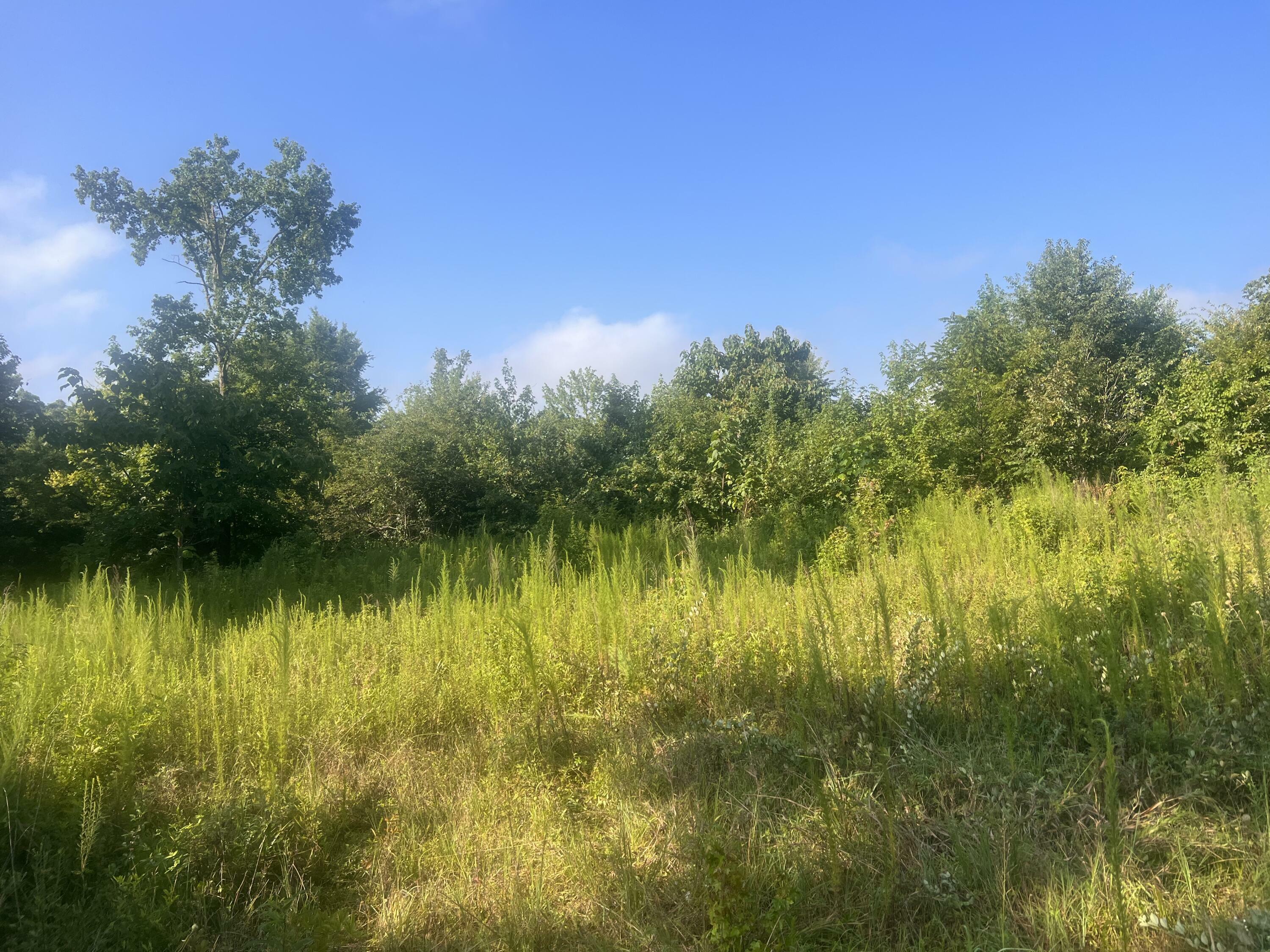 Property Photo:  00 New Home Rd  GA 30752 