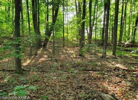 Property Photo:  Lot 43 County Road 6  ON K0K 1Z0 