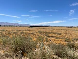 165ste Vic Ave  Palmdale CA 93591 photo