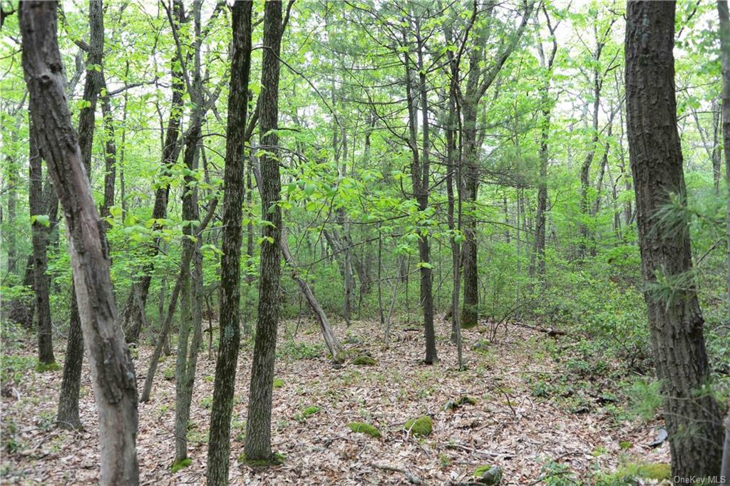 Property Photo:  Lot 11 Sarine Road  NY 12790 