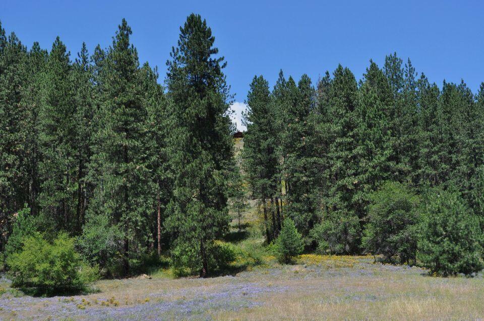 Property Photo: 36xx Critter Way WA 99141