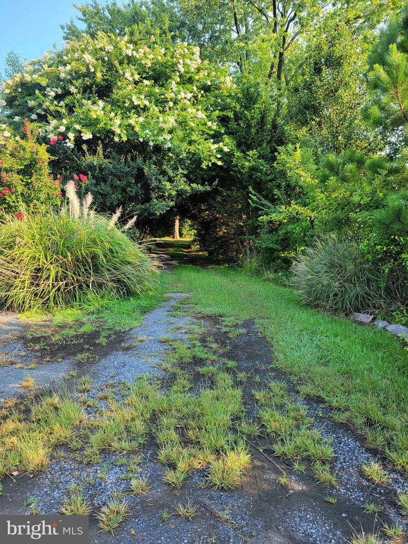 Property Photo:  8000 Bozman Neavitt Road  MD 21612 