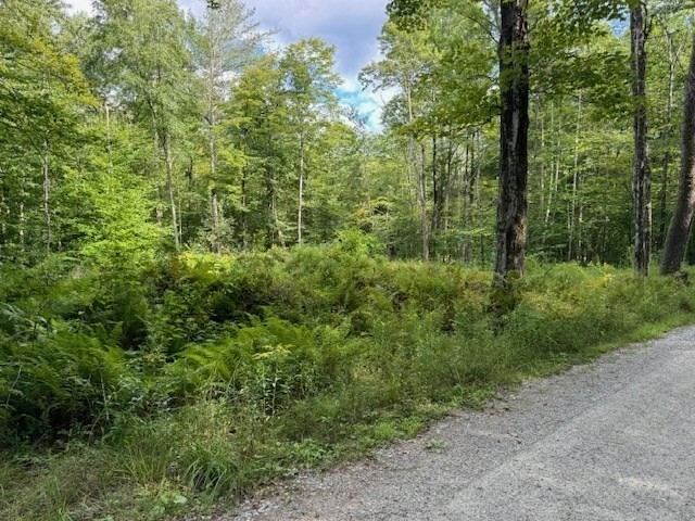 Property Photo:  Lot 119 Davis Mine Rd  MA 01367 