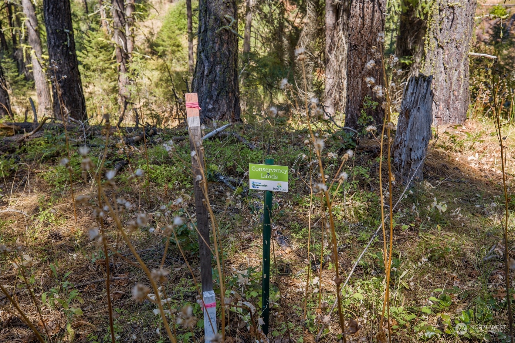 Property Photo:  0 Lot 56 Kokanee Loop  WA 98922 