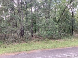 645 N Heathrow Drive  Lecanto FL 34461 photo