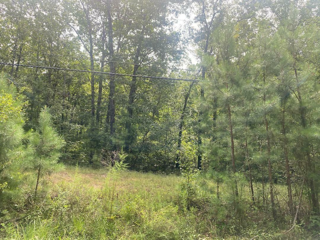 Property Photo:  Lot 5 North Walston Bridge Road  AL 35504 