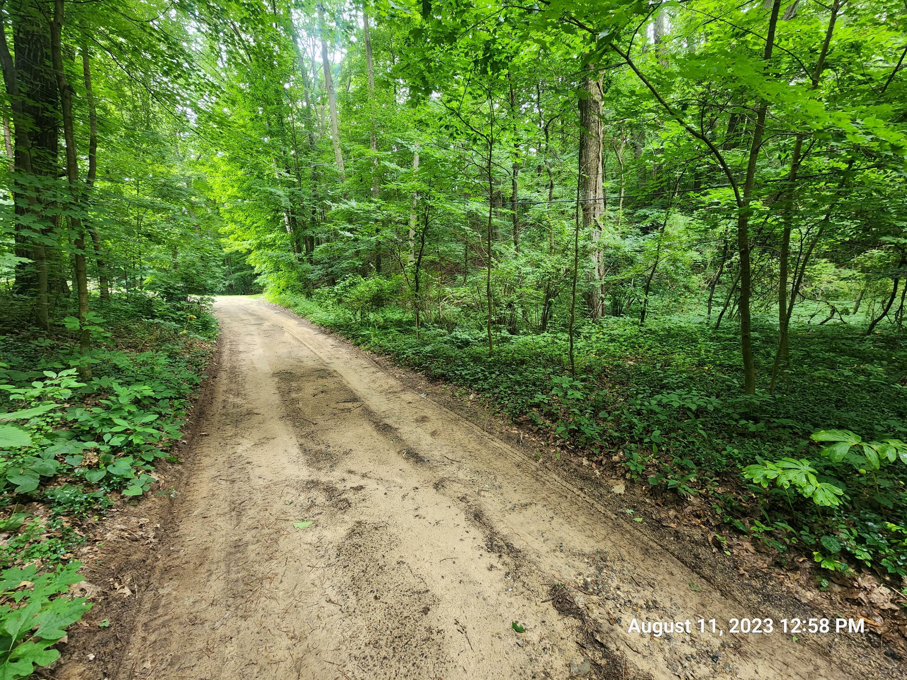 Property Photo:  Vl Pine Avenue  MI 49090 