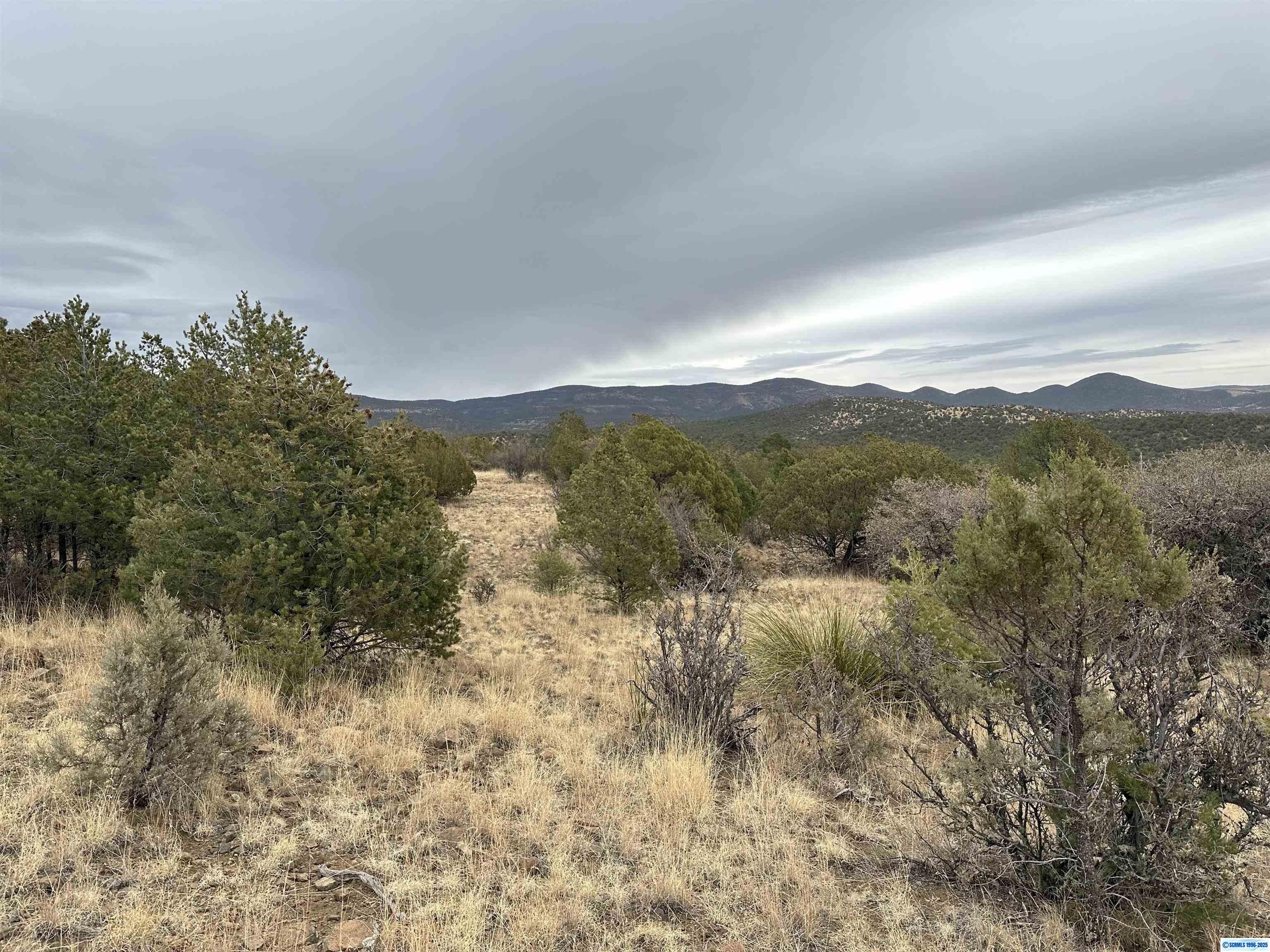 Property Photo:  Xxx Xyz Ranch Road  NM 88061-0000 
