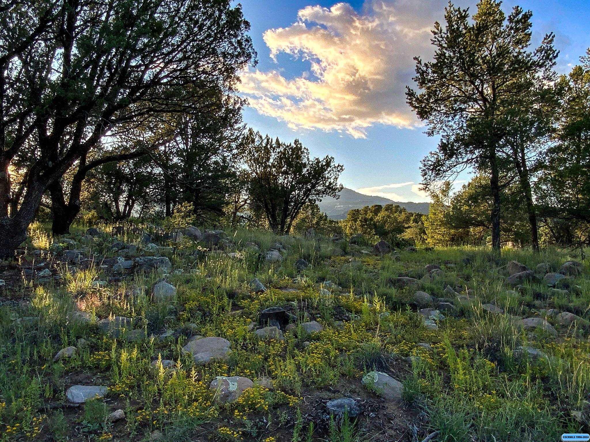 Property Photo: 37 Black Dog NM 88061
