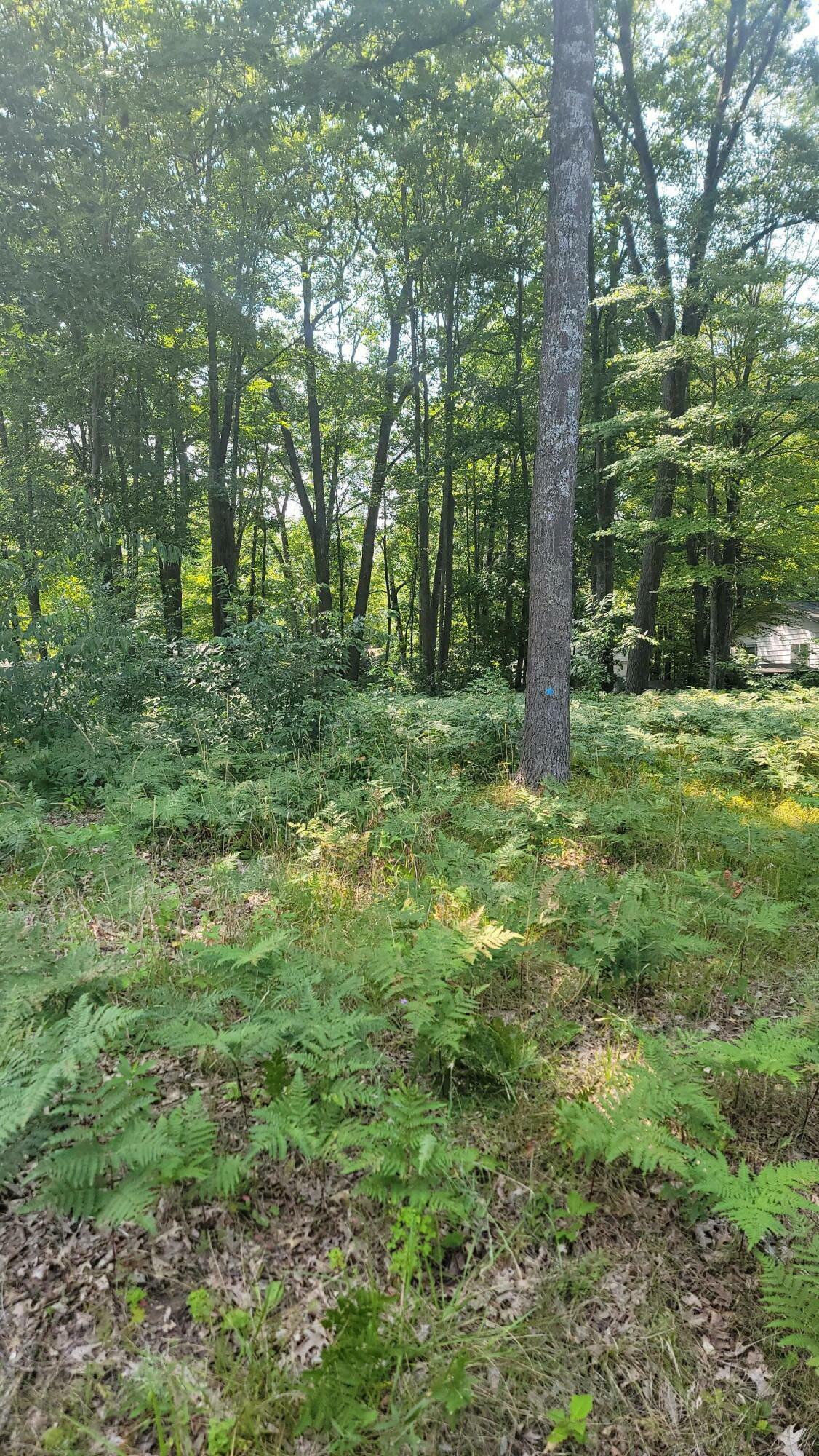 Xxx Springwood Drive Lot 91  Prudenville MI 48651 photo