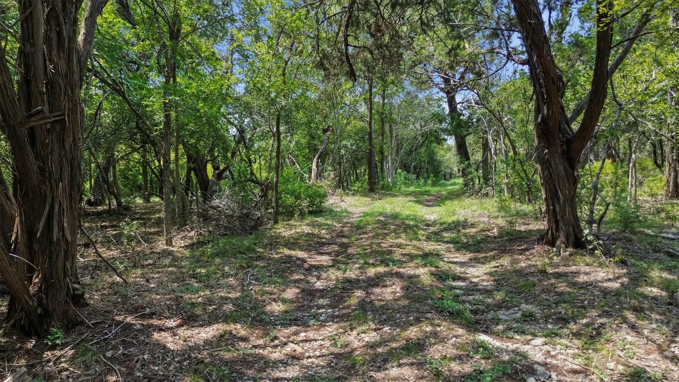 Property Photo:  301 Alpine Trail  TX 78666 