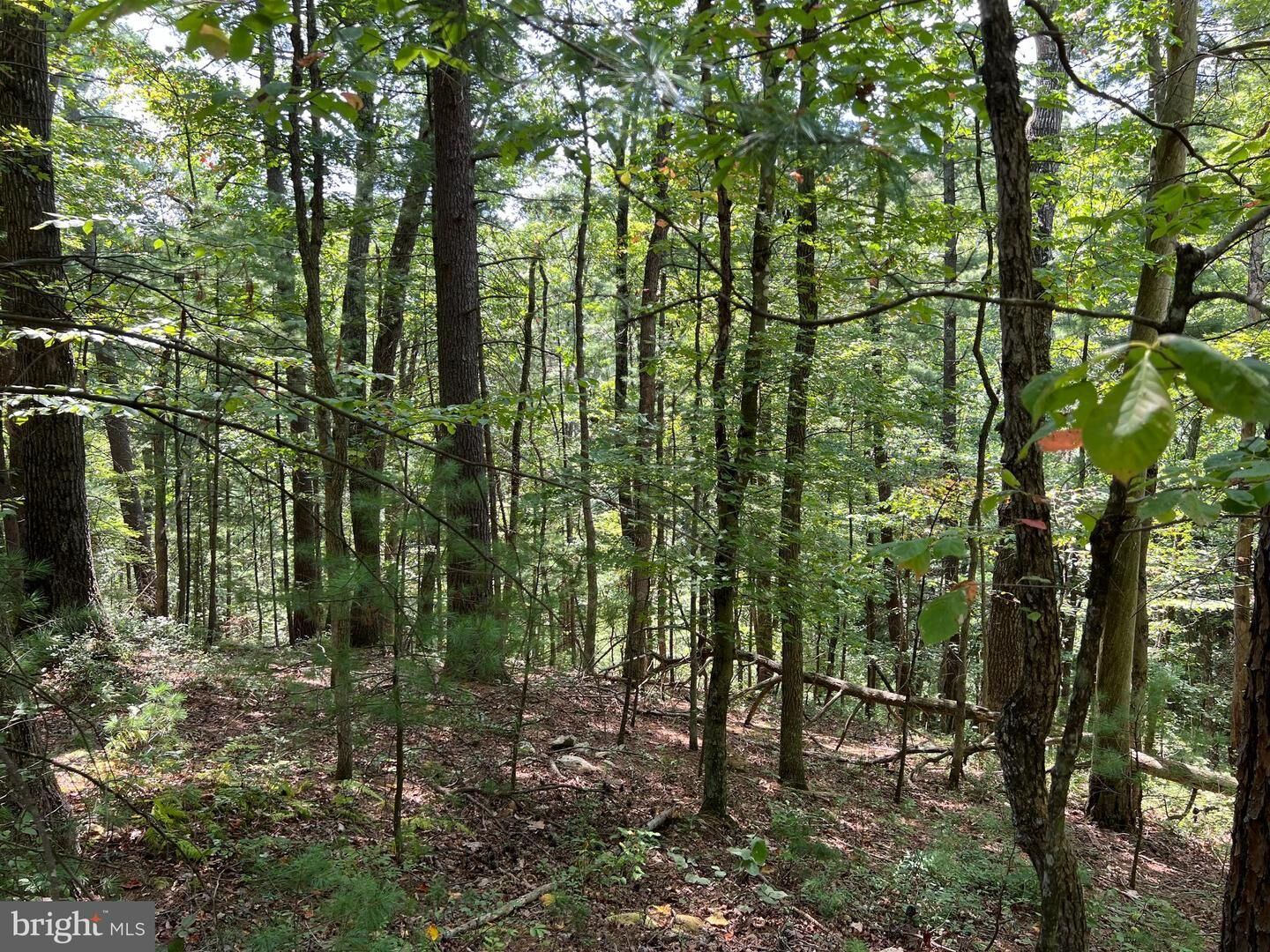 Property Photo:  0 Spruce Lane  VA 22842 