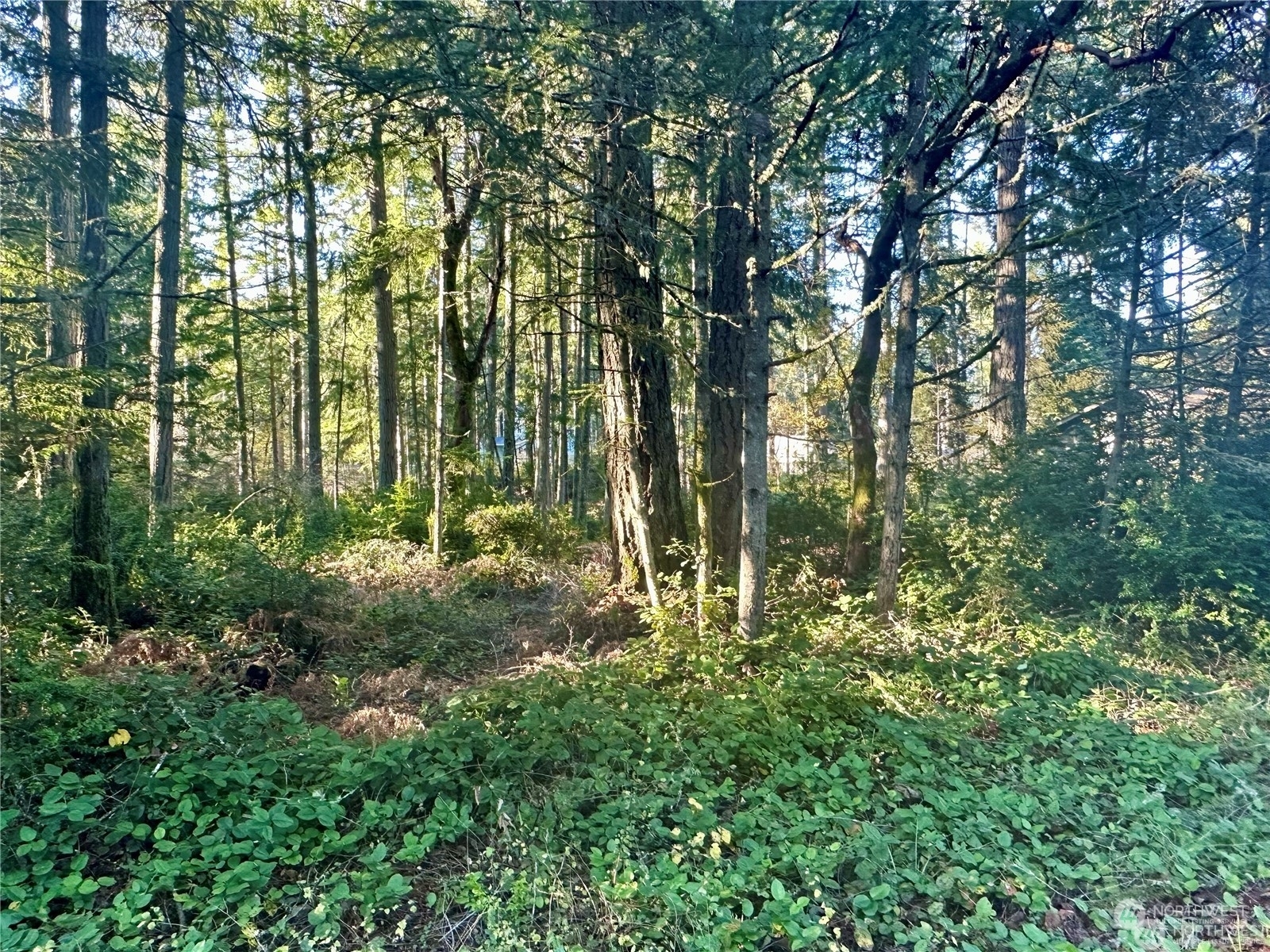 Property Photo:  10818 Tahoma Drive  WA 98303 