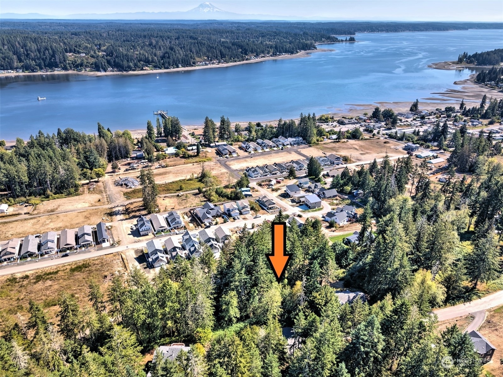 Property Photo:  200 E Allynview Drive  WA 98524 