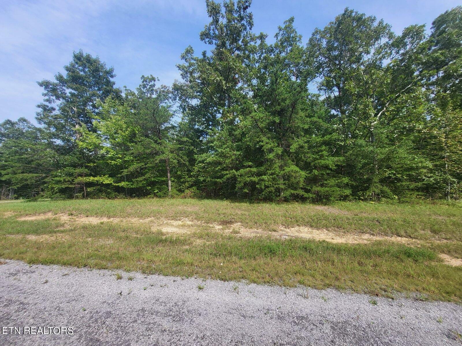 Property Photo:  Thistle Rd. Lot 2 & 3  TN 38574 