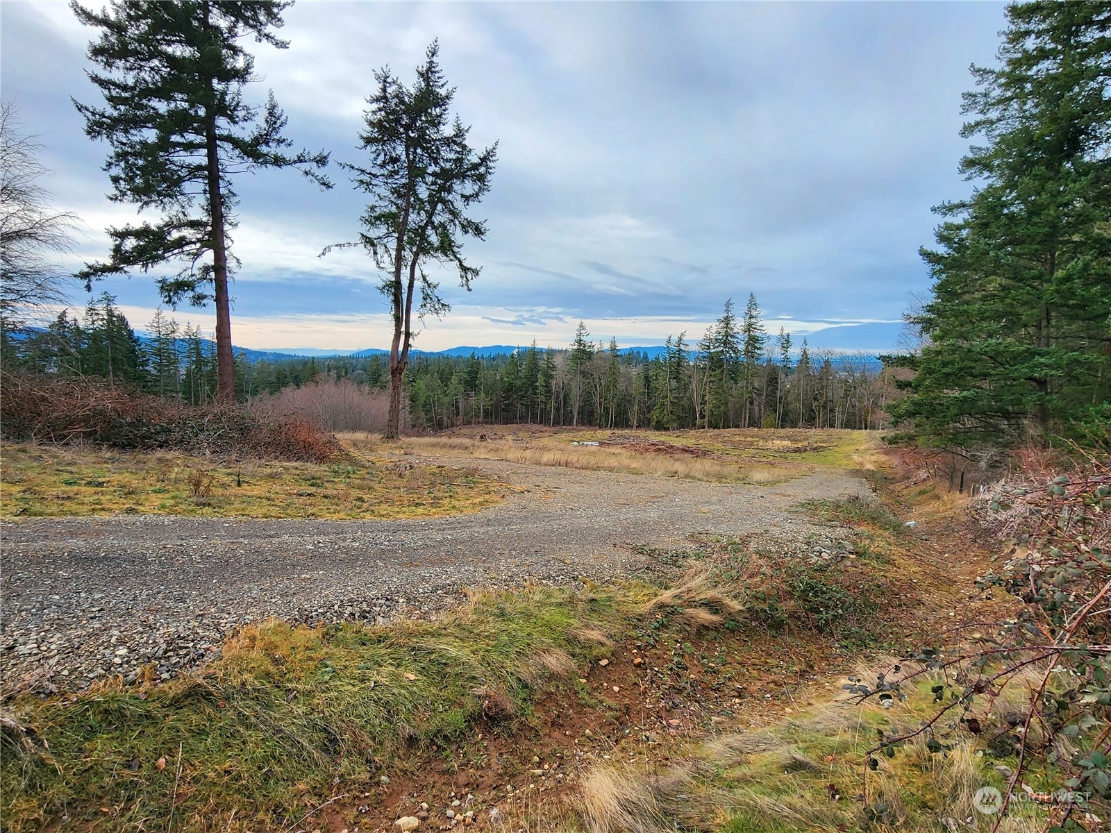 Property Photo:  3941 B Toad Lake Rd  WA 98226 