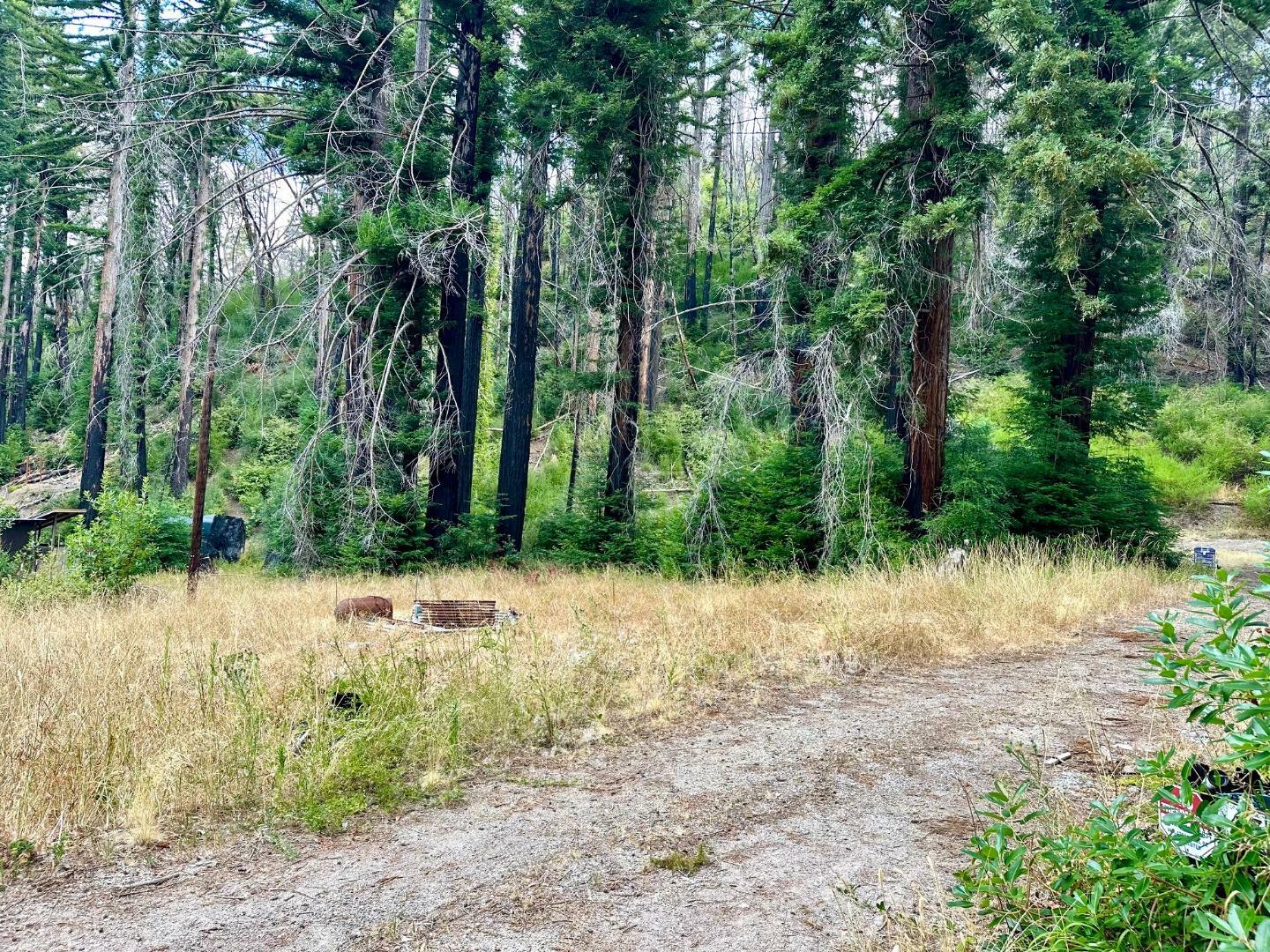 Property Photo:  4301 Whitehouse Creek Road  CA 95017 