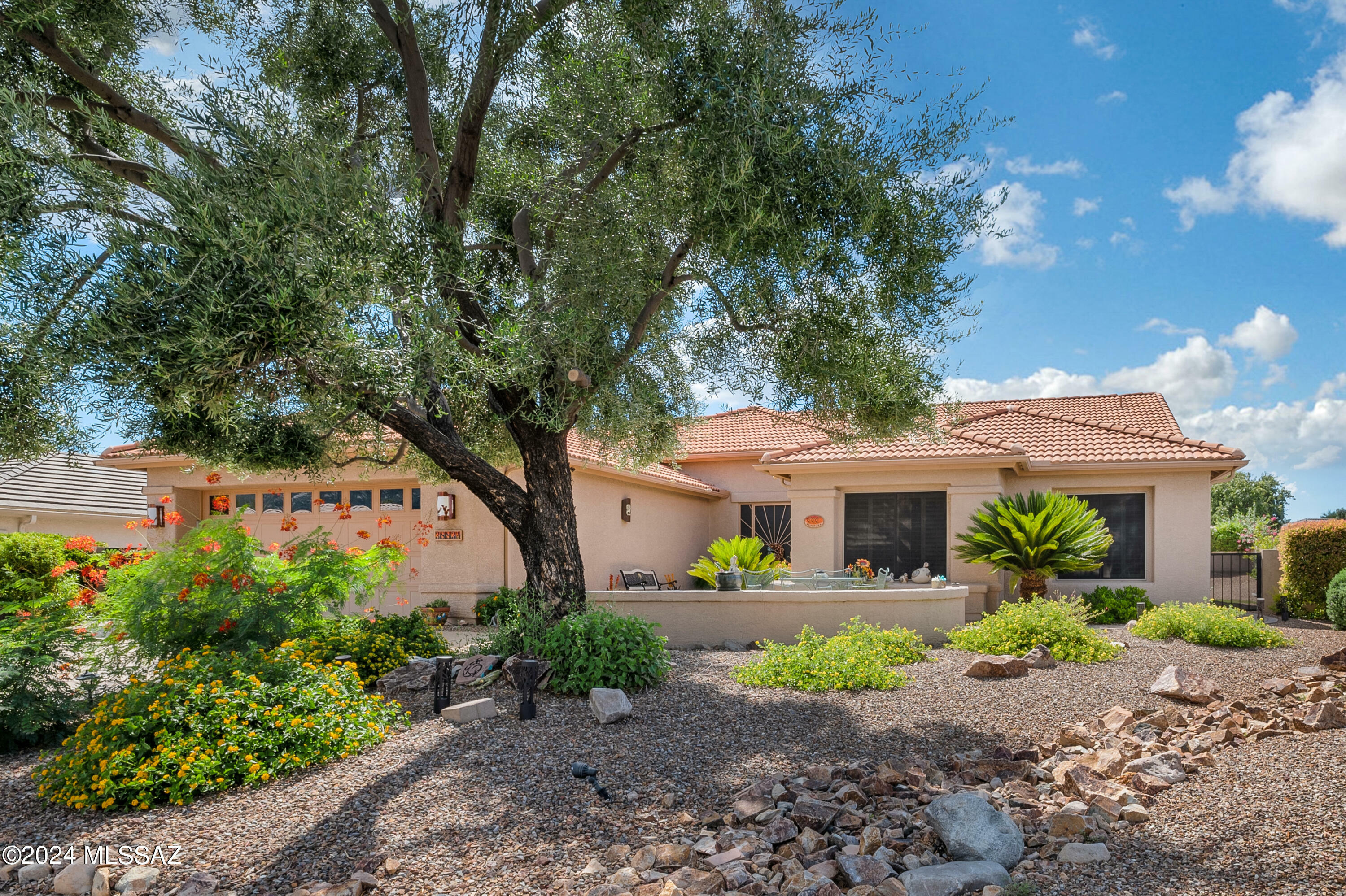 Property Photo:  38834 S Stone Wood Drive  AZ 85739 