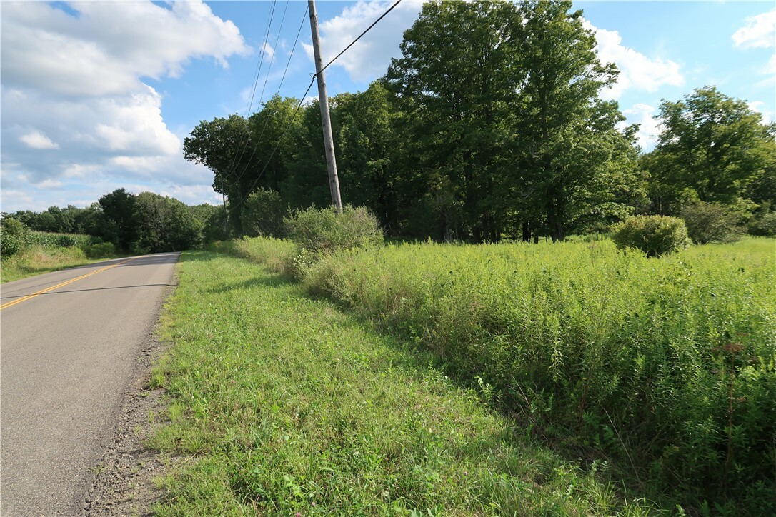 Property Photo:  Lot 4 German Road  NY 13863 