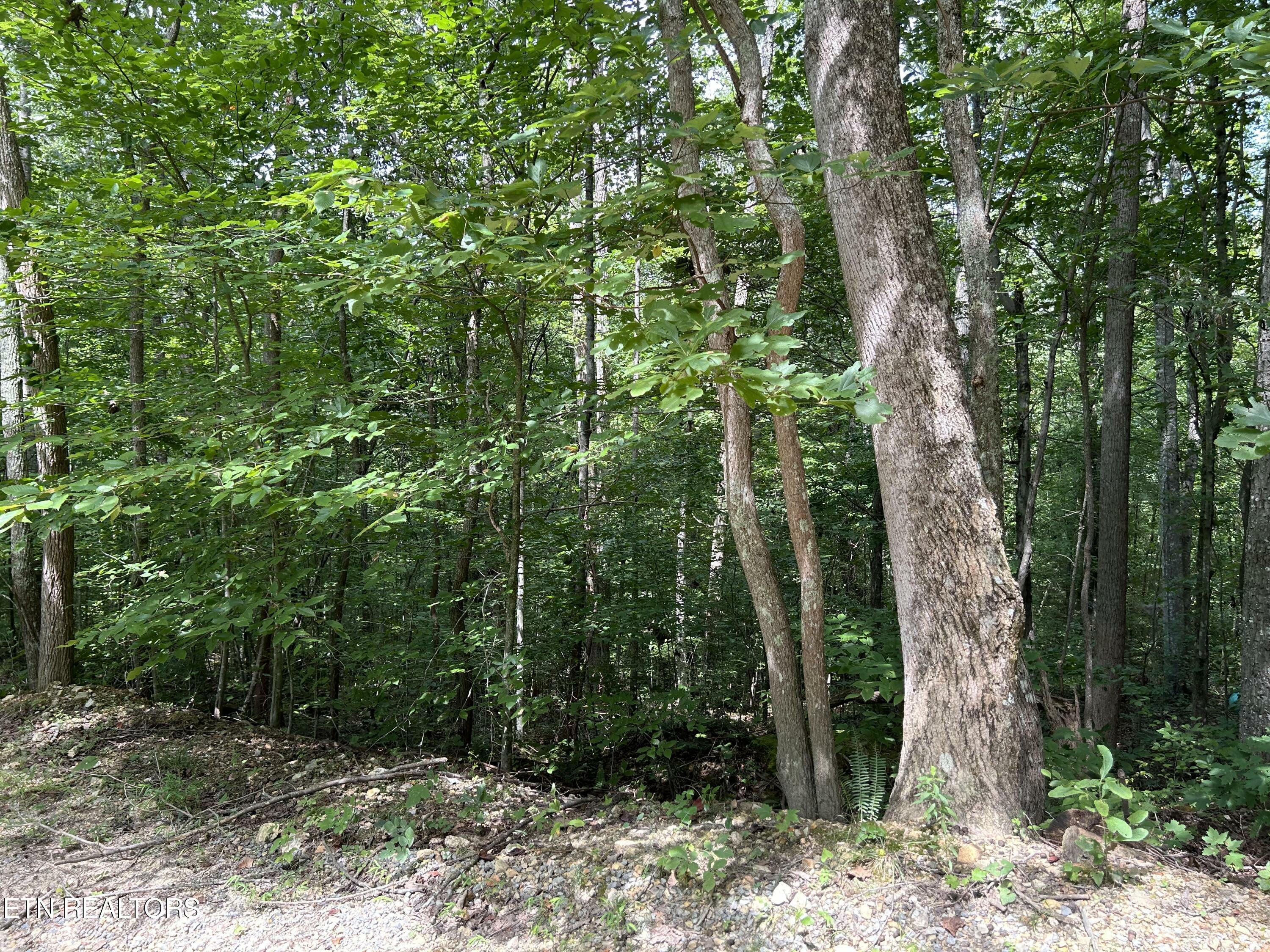 Property Photo:  Meandering Lot 4 Circle  TN 37807 