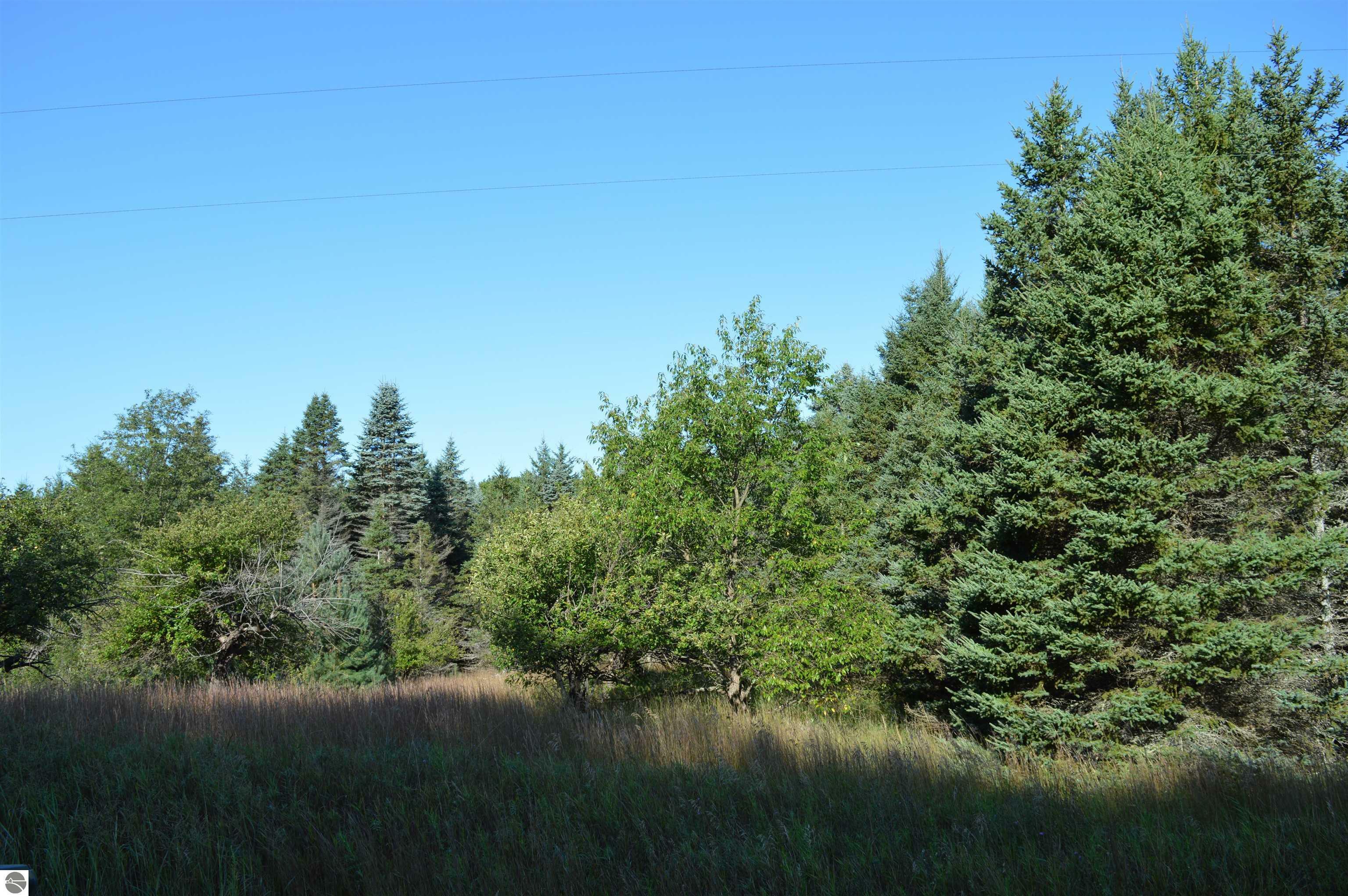 Property Photo:  Gildas Road  MI 49676 