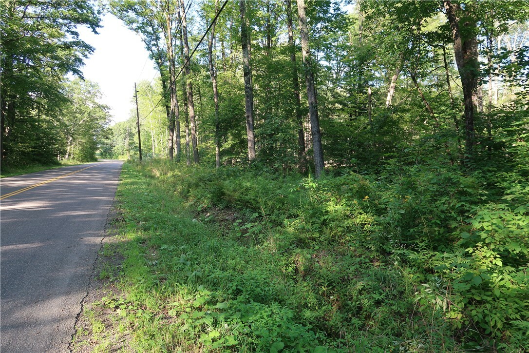 Lot 9 German Road  Willet NY 13863 photo