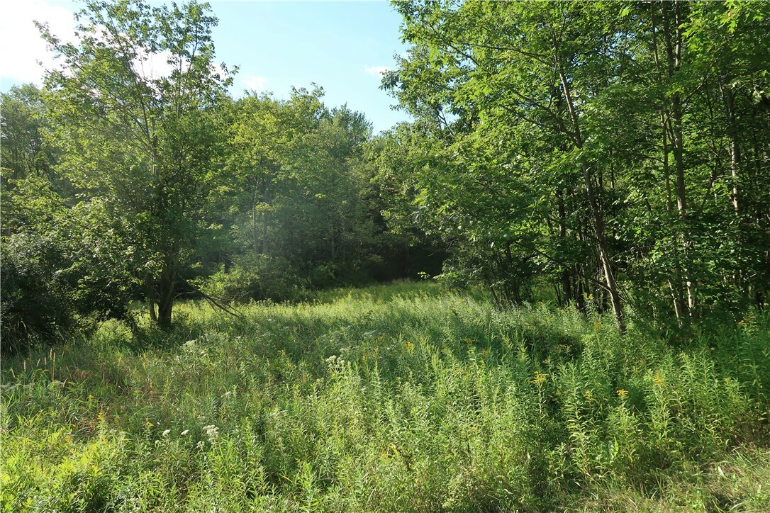 Property Photo:  Lot 6 German Road  NY 13863 