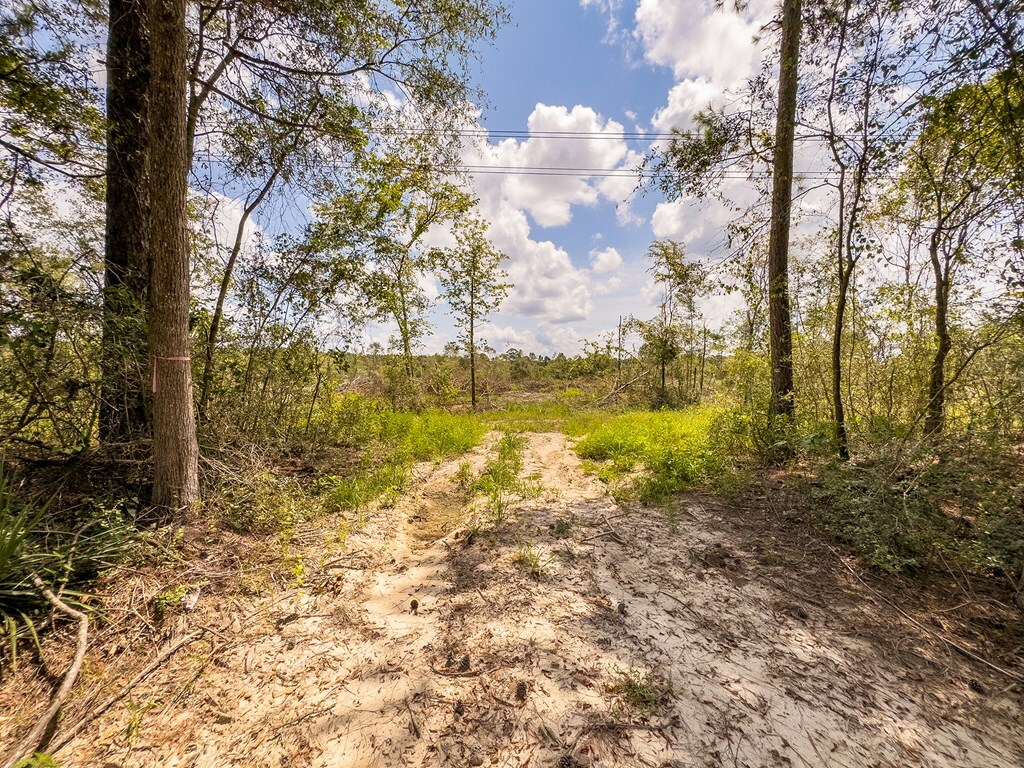 Property Photo:  R53358 Hwy 94  TX 75926 