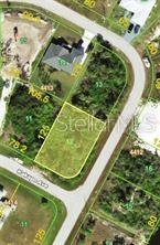 Property Photo:  13236 Kakapo Avenue  FL 33981 