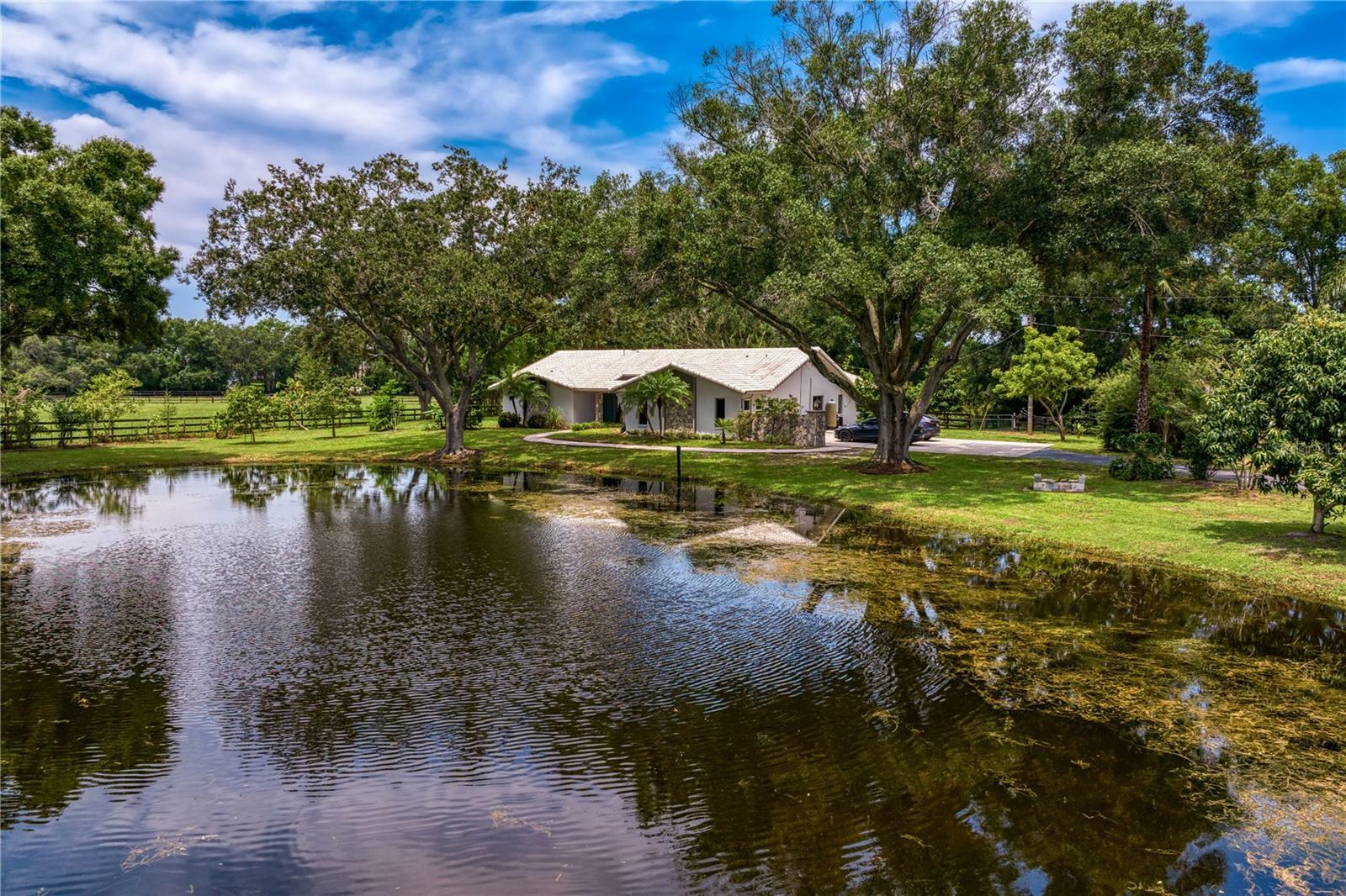 Property Photo:  11603 Innfields Drive  FL 33556 