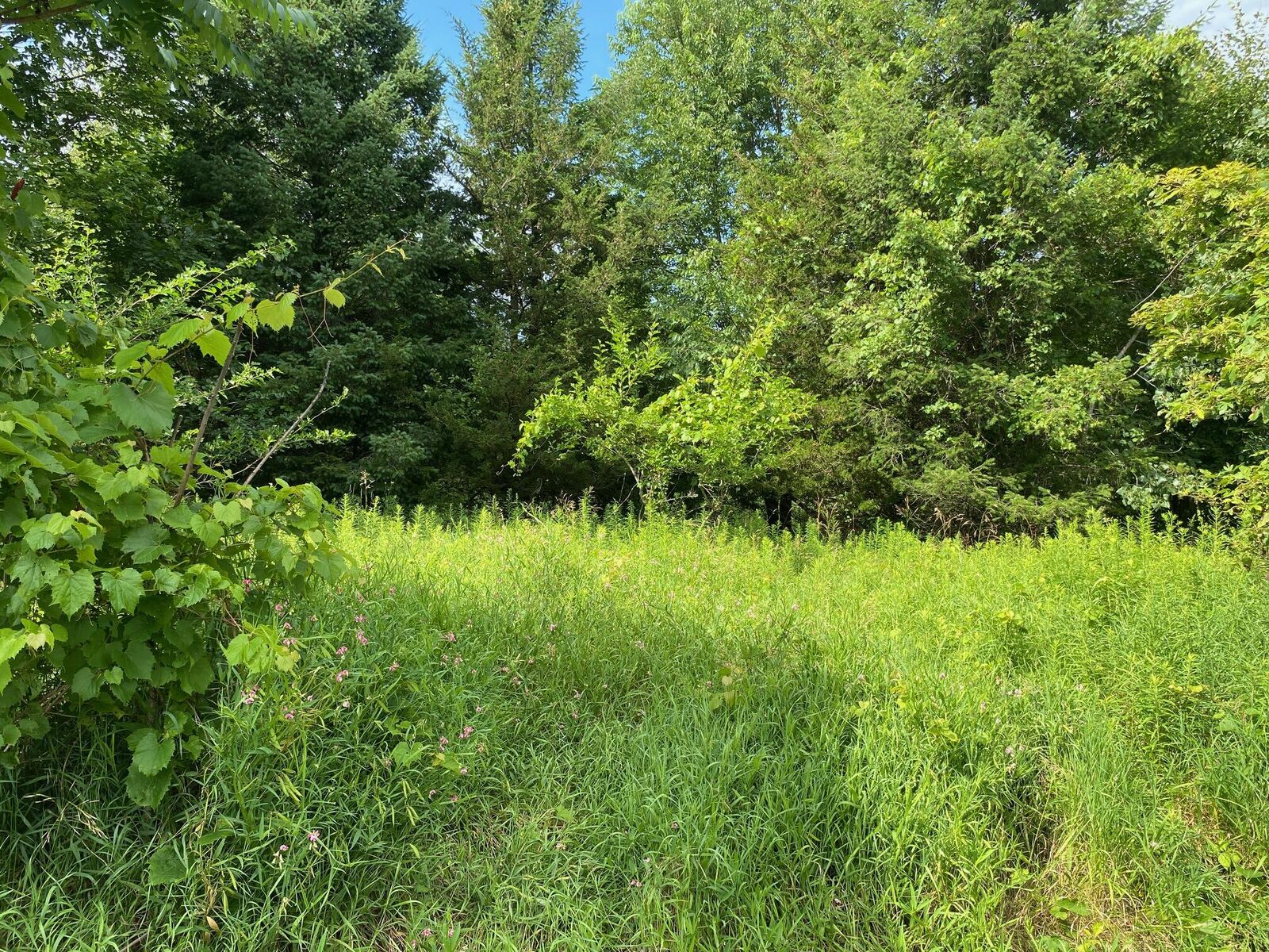 Property Photo:  A 102nd Avenue  MI 49056 