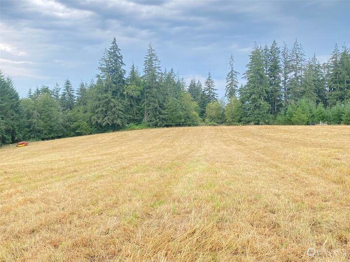 Property Photo: 174 Oppelt Road WA 98532