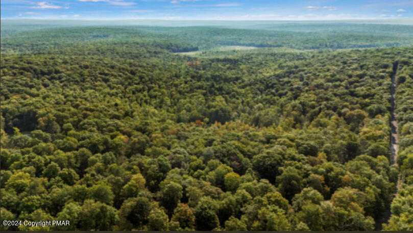 Property Photo: 291 Deer Run Road PA 18347