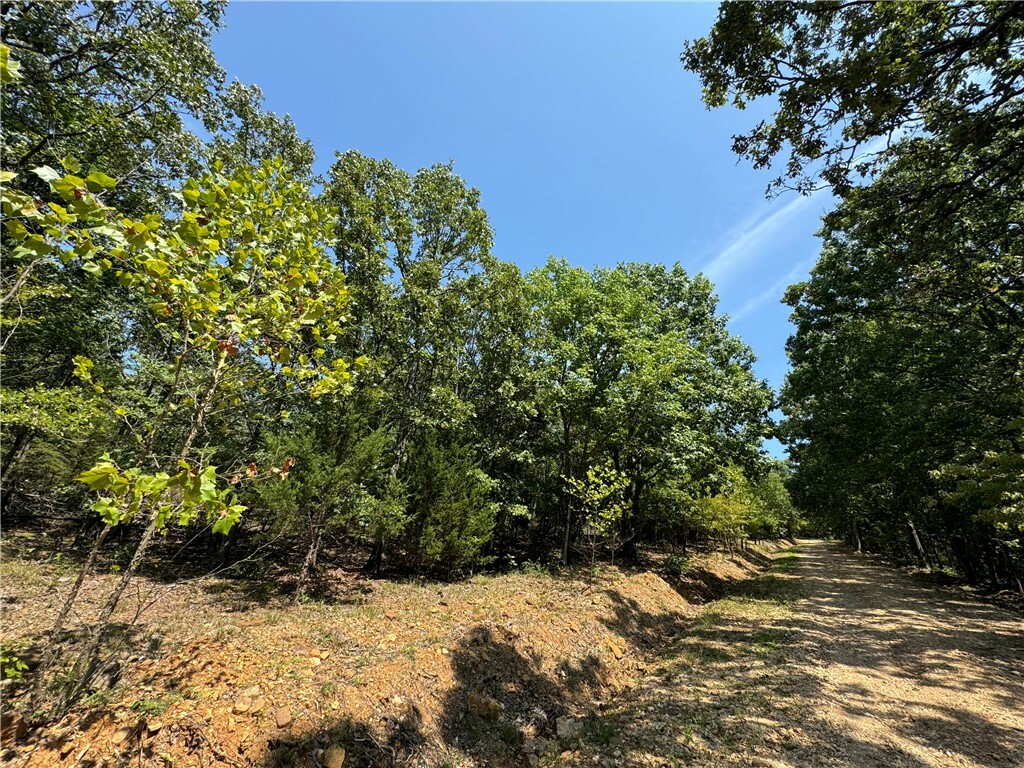 Property Photo:  Tract B Director Road  AR 72774 