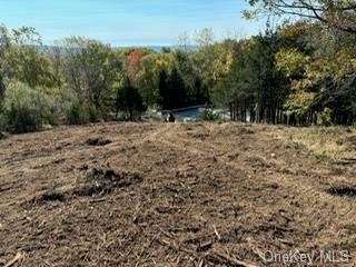 Property Photo: Lot 9 Woodin Place NY 12570
