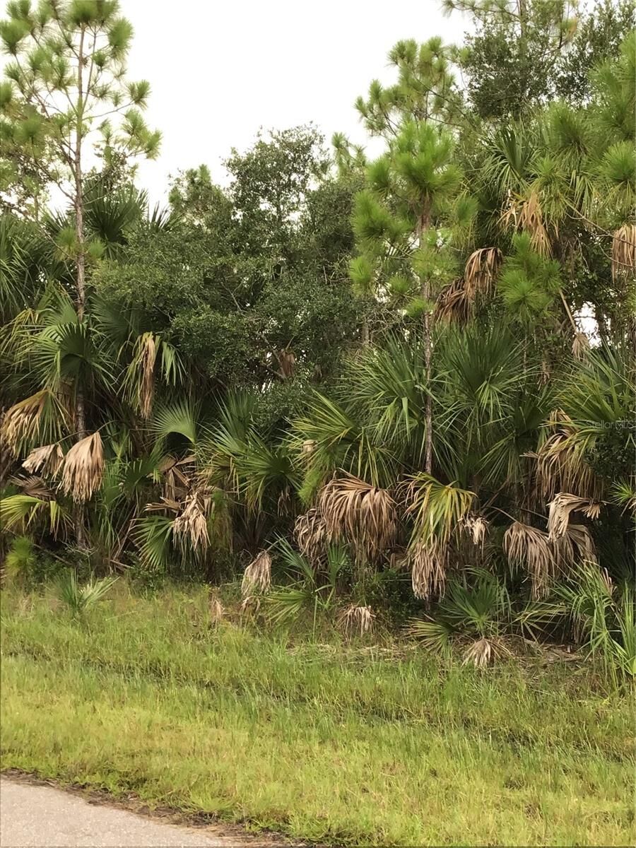 Property Photo: 14202 Hydrangea Avenue FL 33953