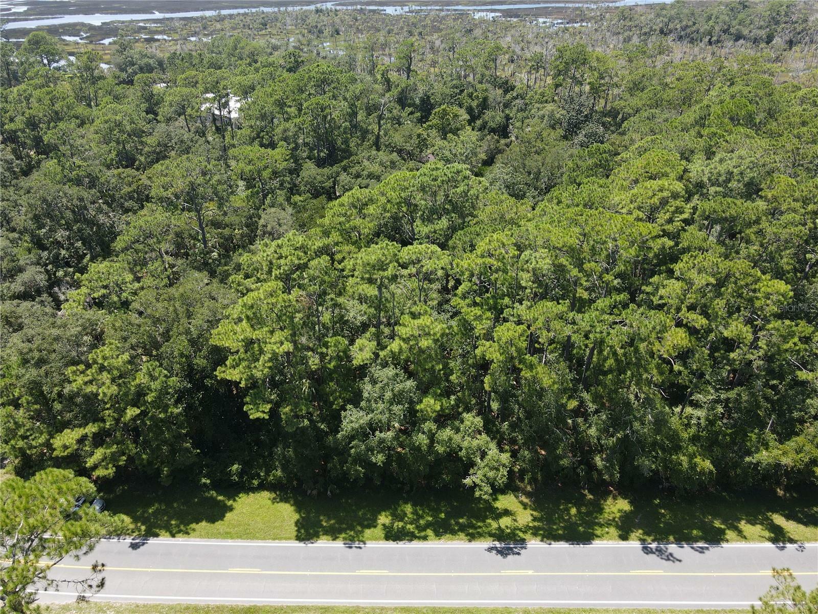 Property Photo:  E M Oaks Street  FL 32327 