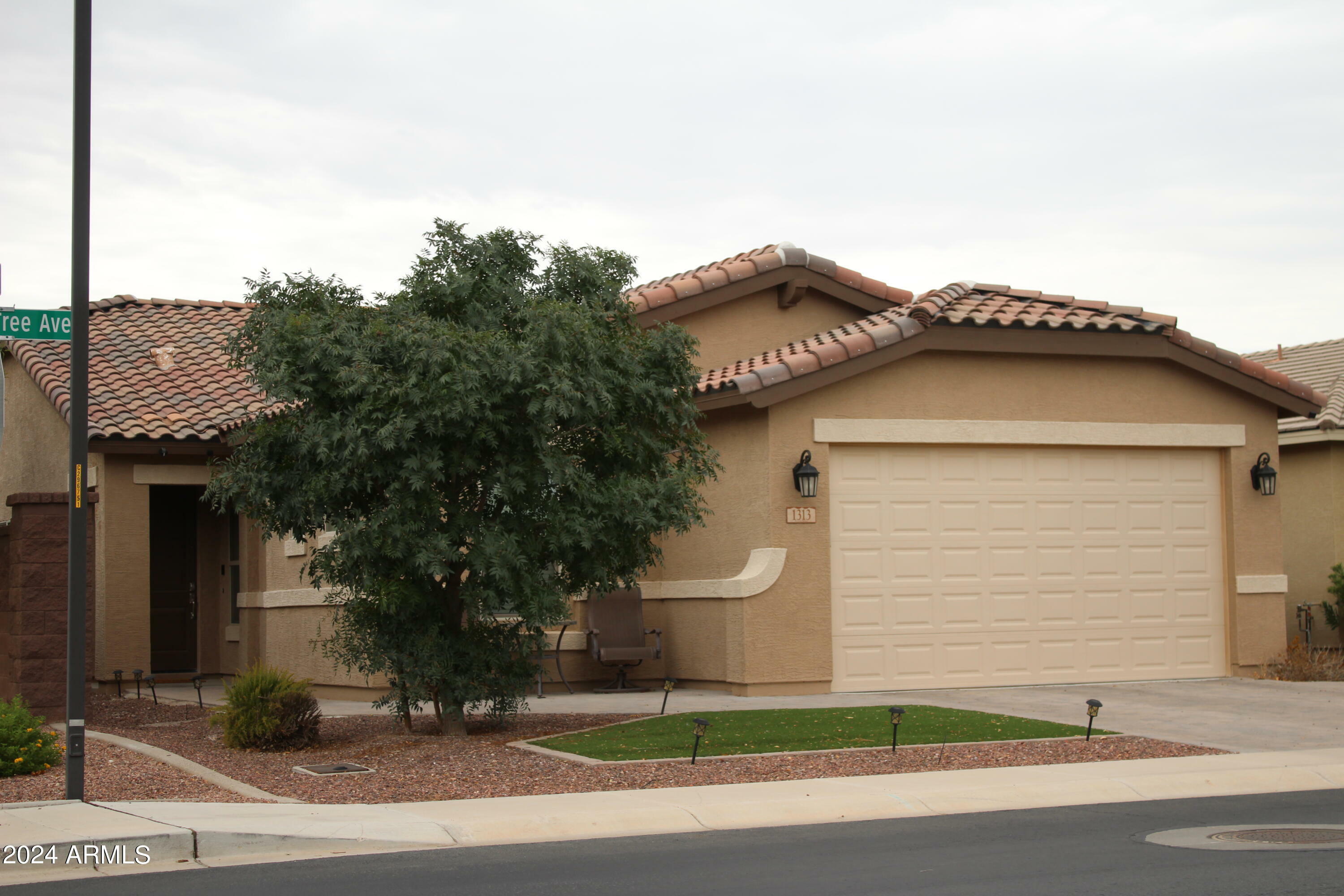 Property Photo:  1313 W Buckeye Tree Avenue  AZ 85140 