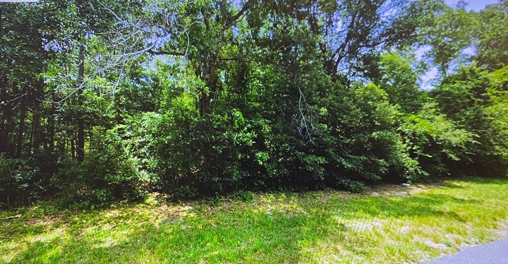 Property Photo:  0 Bristol Hwy  FL 32351 