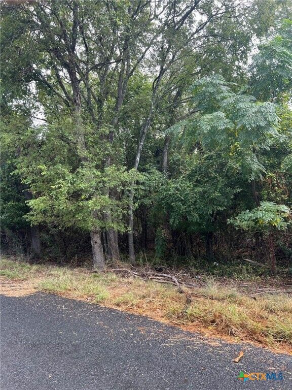 2640 Fort Road  Belton TX 76513 photo