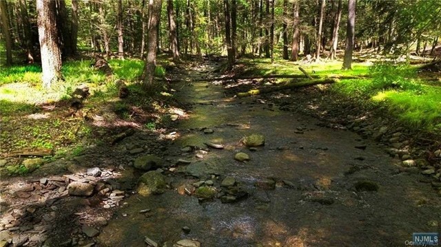 Property Photo:  250 Peenpack Trail  NY 12746 