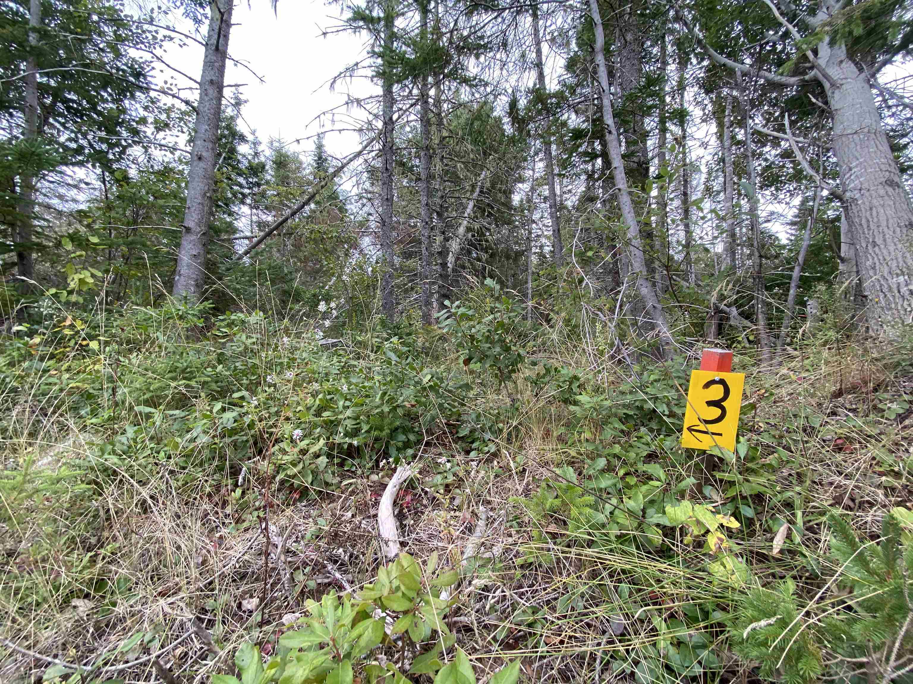 Photo de la propriété:  Lot 3 Floating Bridge Road  PE C0A 1W0 