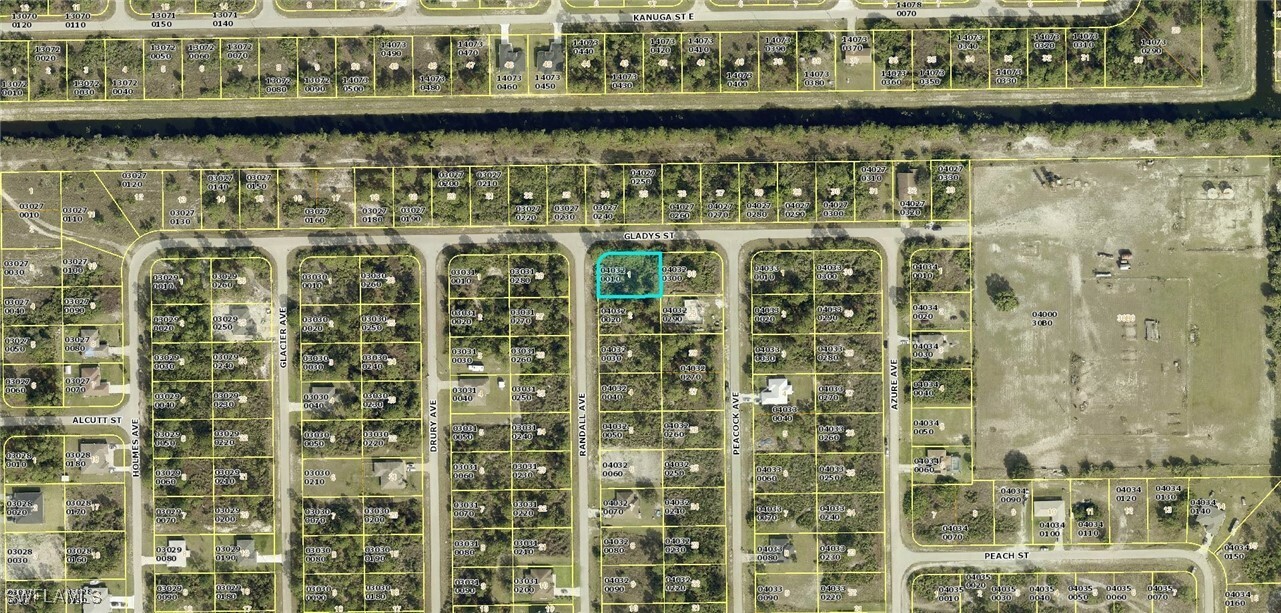 Property Photo:  705 Randall Avenue E  FL 33974 