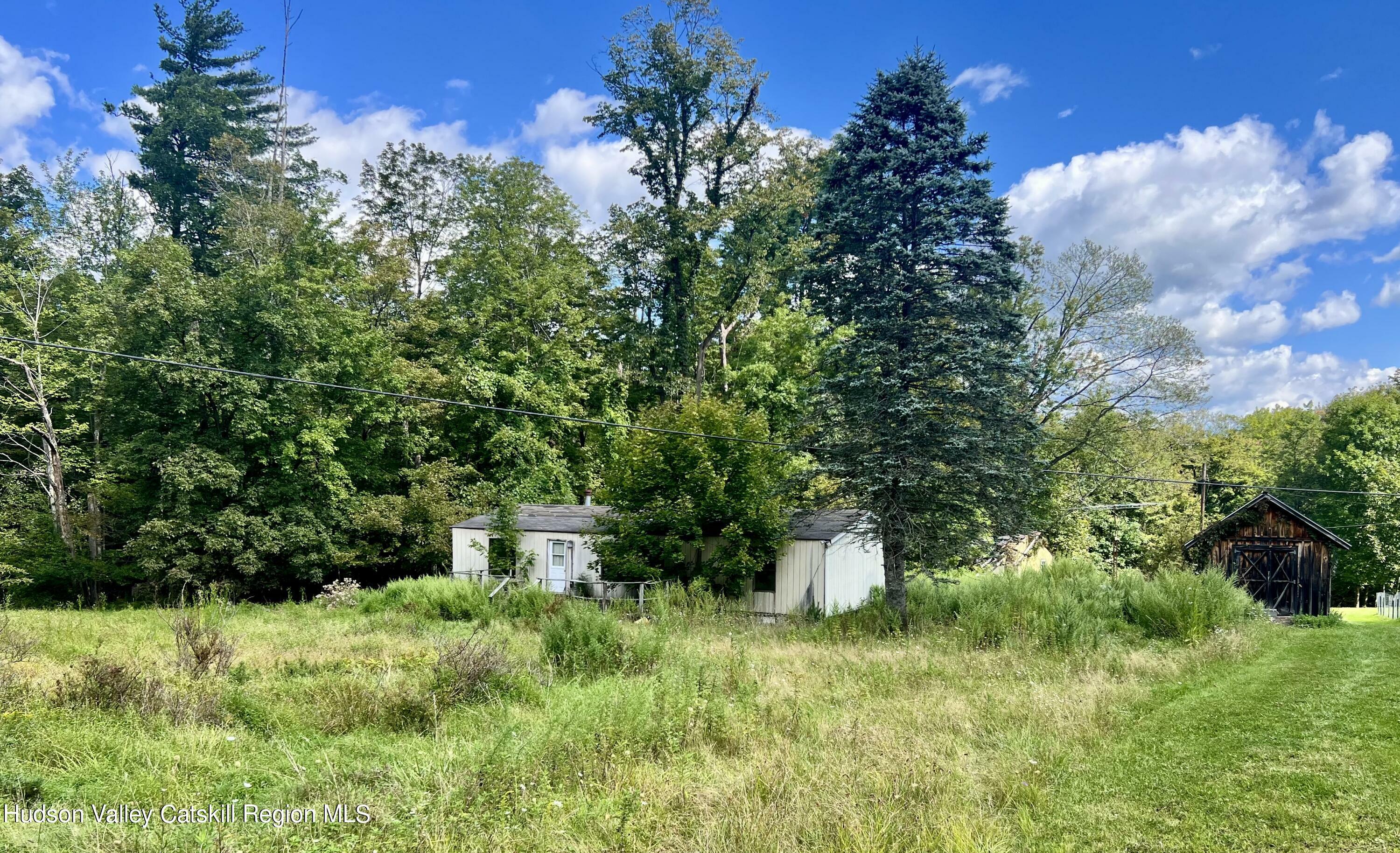 Property Photo:  349 High Point Mountain  NY 12494 