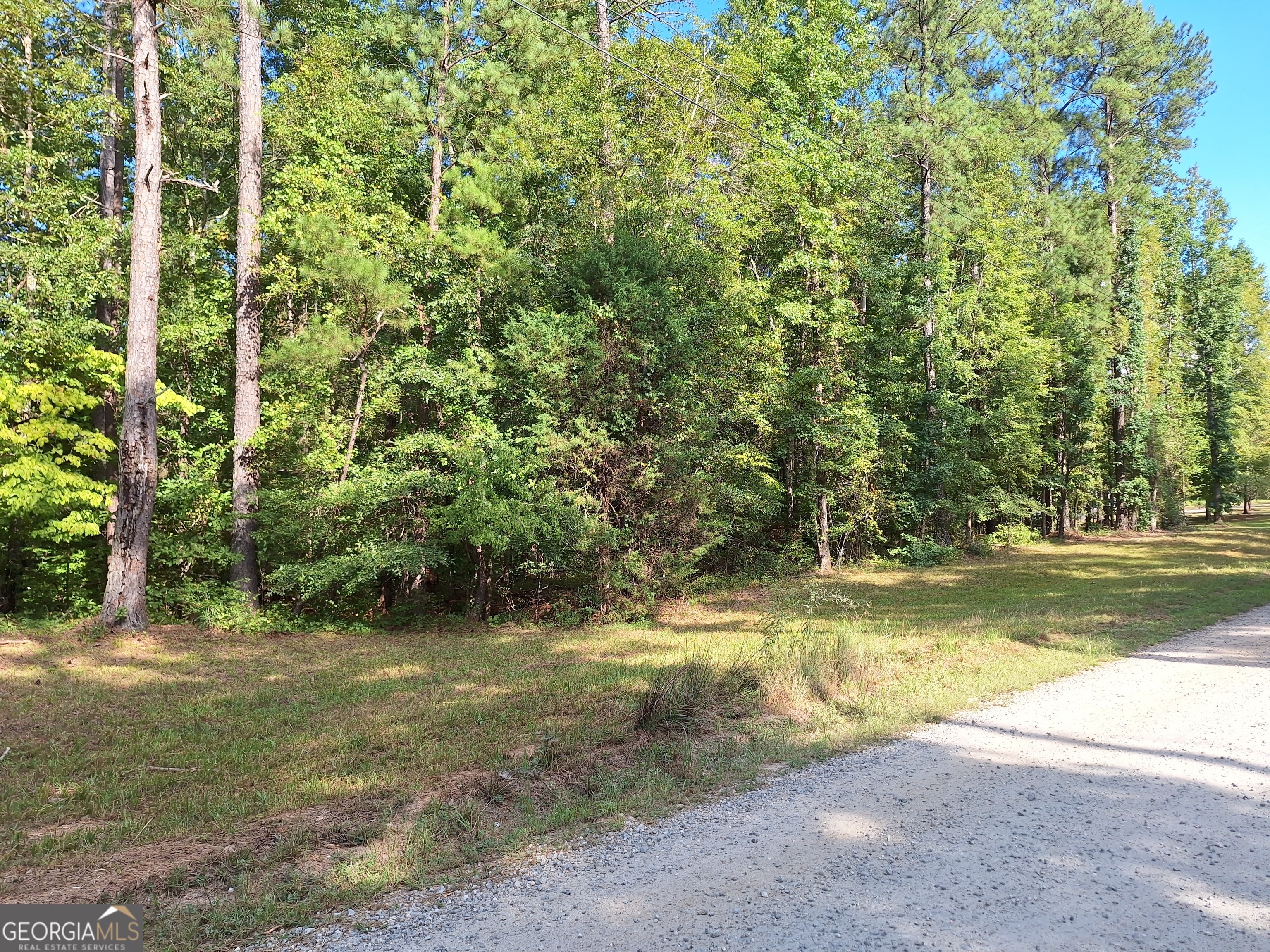 Property Photo:  Lots 48,49,50 Doe Lane  GA 30055 