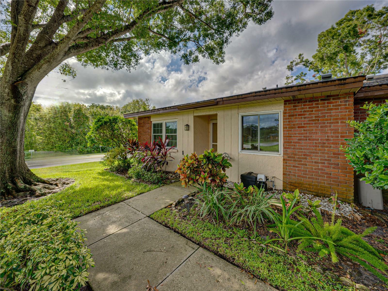 Property Photo:  845 Maclaren Drive N A  FL 34684 