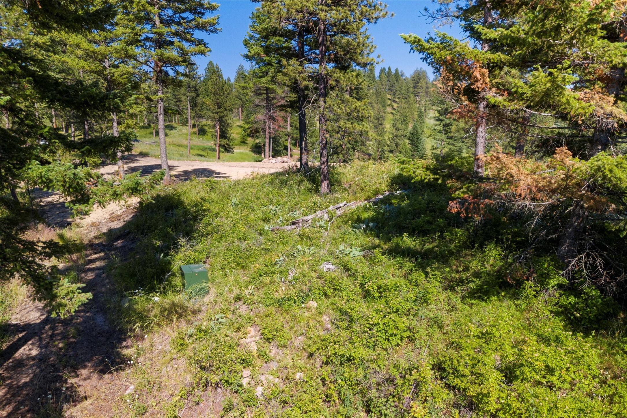 Property Photo:  3485 Ridge View Road Parcel 2A  MT 59808 